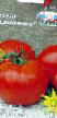 Tomatoes  Dashenka grade Photo