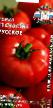 Los tomates  Schaste russkoe F1 variedad Foto