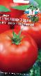 Tomatoes varieties Parnikovyjj krupnoplodnyjj F1 Photo and characteristics