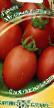 Tomatoes  Slivka medovaya grade Photo