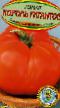 Tomatoes  Korol gigantov grade Photo