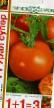 Tomatoes varieties Ural Super F1 Photo and characteristics