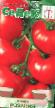 Los tomates  Rozaliya variedad Foto
