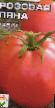 Los tomates  Rozovaya lyana variedad Foto