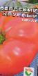 Tomater sorter Berdskijj krupnyjj Fil och egenskaper