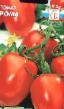 des tomates  Roma l'espèce Photo