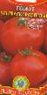 Tomatoes varieties Ultraskorospelyjj Photo and characteristics