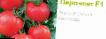 Tomater sorter Paronset F1 (Singenta) Fil och egenskaper
