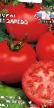 Los tomates  Zarevo F1 variedad Foto