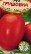 Los tomates  Grushovka variedad Foto