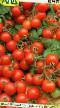 Los tomates variedades Bayaya Foto y características