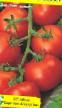 Los tomates variedades Anadora F1 Foto y características