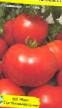 Tomatoes varieties Karnaval F1 Photo and characteristics
