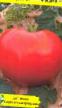 Tomatoes varieties Fatima F1 Photo and characteristics