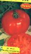 I pomodori le sorte Vodar foto e caratteristiche