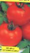 Los tomates variedades Dokhodnyjj Foto y características