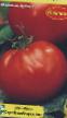 Tomaten Sorten Ikarus Foto und Merkmale
