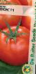 tomaatit lajit Grejjs F1 kuva ja ominaisuudet