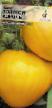 Tomater sorter Zolotojj korol Fil och egenskaper