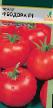 Ντομάτες ποικιλίες Feodora F1 φωτογραφία και χαρακτηριστικά