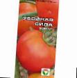 des tomates  Ubojjnaya sila l'espèce Photo
