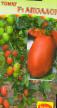 Tomatoes varieties Apollon F1 Photo and characteristics