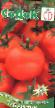 des tomates  Sub-Arktik l'espèce Photo