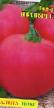 Tomater sorter Ivanych F1 Fil och egenskaper