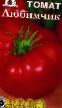 Tomatoes  Lyubimchik grade Photo