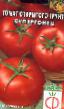 Los tomates variedades Supergonec Foto y características