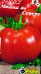 Los tomates  Mishka na Severe variedad Foto
