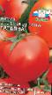 Los tomates variedades Tatyana Foto y características