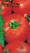 Los tomates variedades Soyuz 21 F1 Foto y características