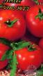 Los tomates variedades Soyuz 36 F1 Foto y características