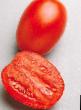 Los tomates variedades Gvadelette 312 F1 Foto y características