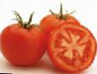Los tomates variedades Super Set F1 Foto y características