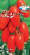 Tomater sorter Ukhazher Fil och egenskaper