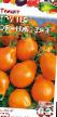 I pomodori le sorte Grusha oranzhevaya foto e caratteristiche