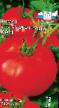 Tomatoes varieties Khan Photo and characteristics