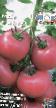 Tomatoes varieties Sergejj F1 Photo and characteristics