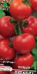 Los tomates variedades Pegas F1  Foto y características