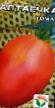 Los tomates variedades Altaechka Foto y características