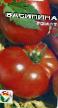 Ντομάτες ποικιλίες Vasilina φωτογραφία και χαρακτηριστικά