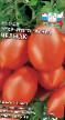Los tomates variedades Chelnok Foto y características
