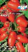 I pomodori le sorte Chibis foto e caratteristiche