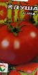 Los tomates variedades Klusha Foto y características