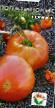 Tomater sorter Lopatinskijj Fil och egenskaper