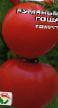 des tomates les espèces Rumyanyjj Gosha Photo et les caractéristiques