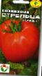 Tomatoes varieties Sozvezdie strelca Photo and characteristics