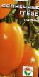 Los tomates variedades Solnechnye grezy Foto y características